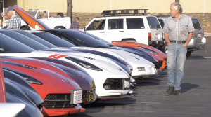 event attendee admiring line of corvettes